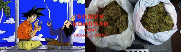ешки Иннополис