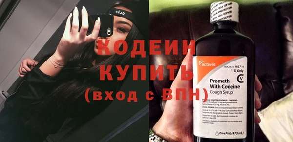 ешки Иннополис
