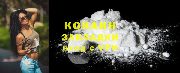 ешки Инта
