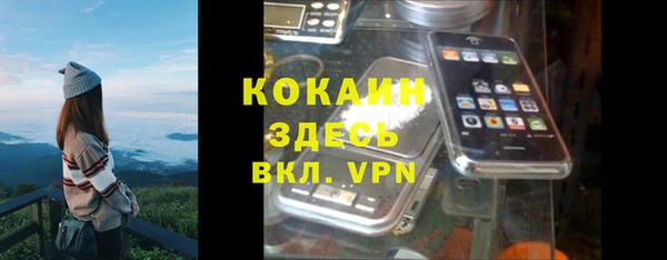 ешки Инта
