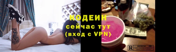 ешки Иннополис