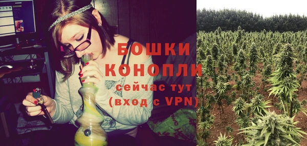 ешки Инта