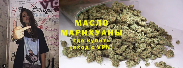 ешки Инта