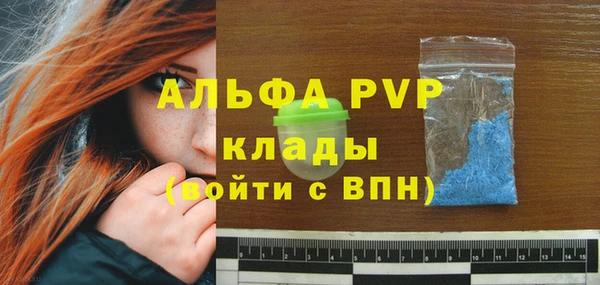 ешки Иннополис