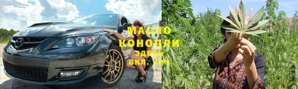 ешки Инта