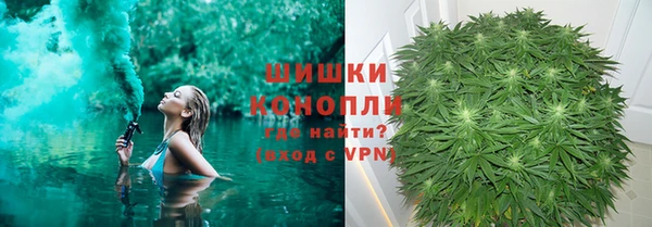 ешки Иннополис